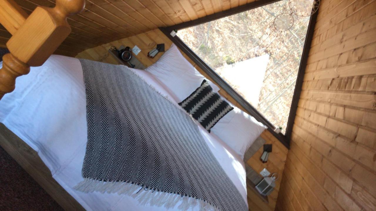 Casutele De Sub Padure Hotel Авриг Екстериор снимка