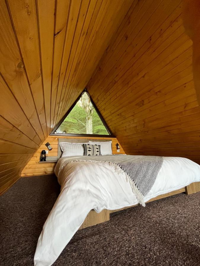Casutele De Sub Padure Hotel Авриг Екстериор снимка