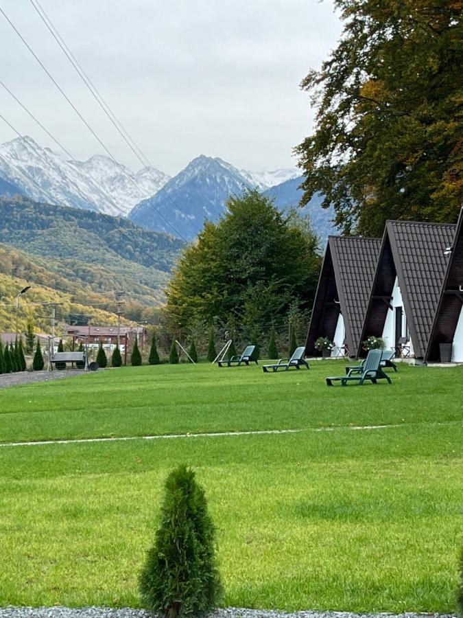 Casutele De Sub Padure Hotel Авриг Екстериор снимка